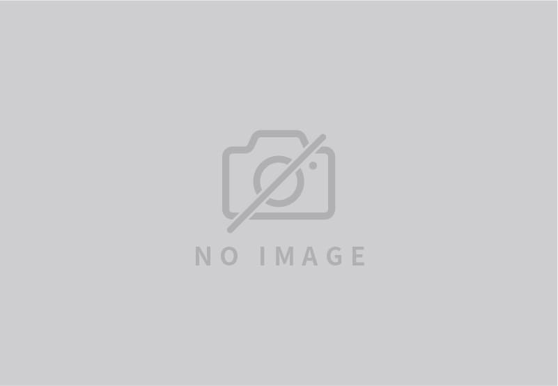 イメージ画像はありません。